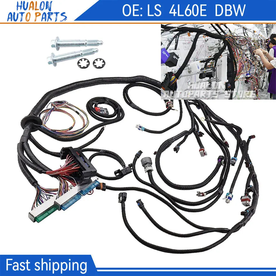 LS Standalone Wiring Harness 4.8 5.3 6.0 Gen 3 DBW 4L60E