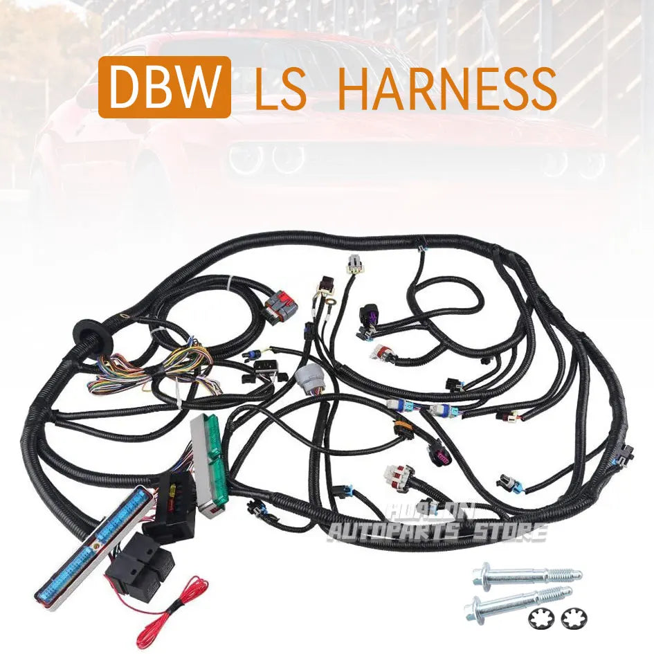 LS Standalone Wiring Harness 4.8 5.3 6.0 Gen 3 DBW 4L60E